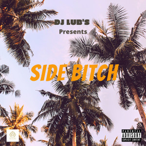 Listen to Side Bitch (Explicit) song with lyrics from Dj Lub's