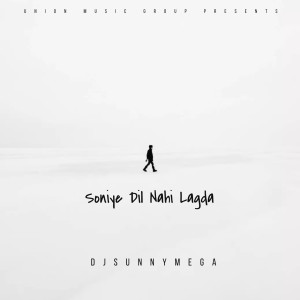 DjSunnyMega的专辑Soniye Dil Nahi Lagda