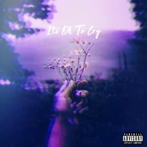 Listen to It’s OK to Cry (Explicit) song with lyrics from YL Donny