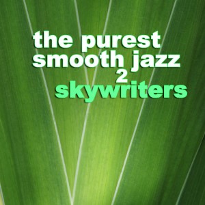 Skywriters的專輯The Purest Smooth Jazz 2