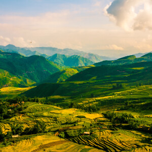 收聽Yoga Flow的Sophie歌詞歌曲