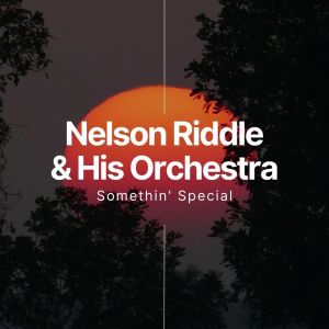 Nelson Riddle & His Orchestra的专辑Somethin' Special