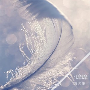 收聽小峰峰（陳峰）的我的貓咪公主歌詞歌曲