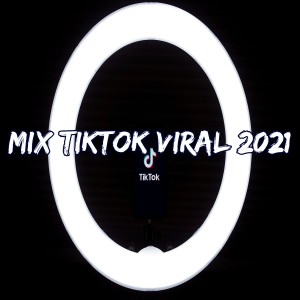 Dengarkan lagu Mix TikTok Viral 2021 nyanyian Dj Viral TikToker dengan lirik