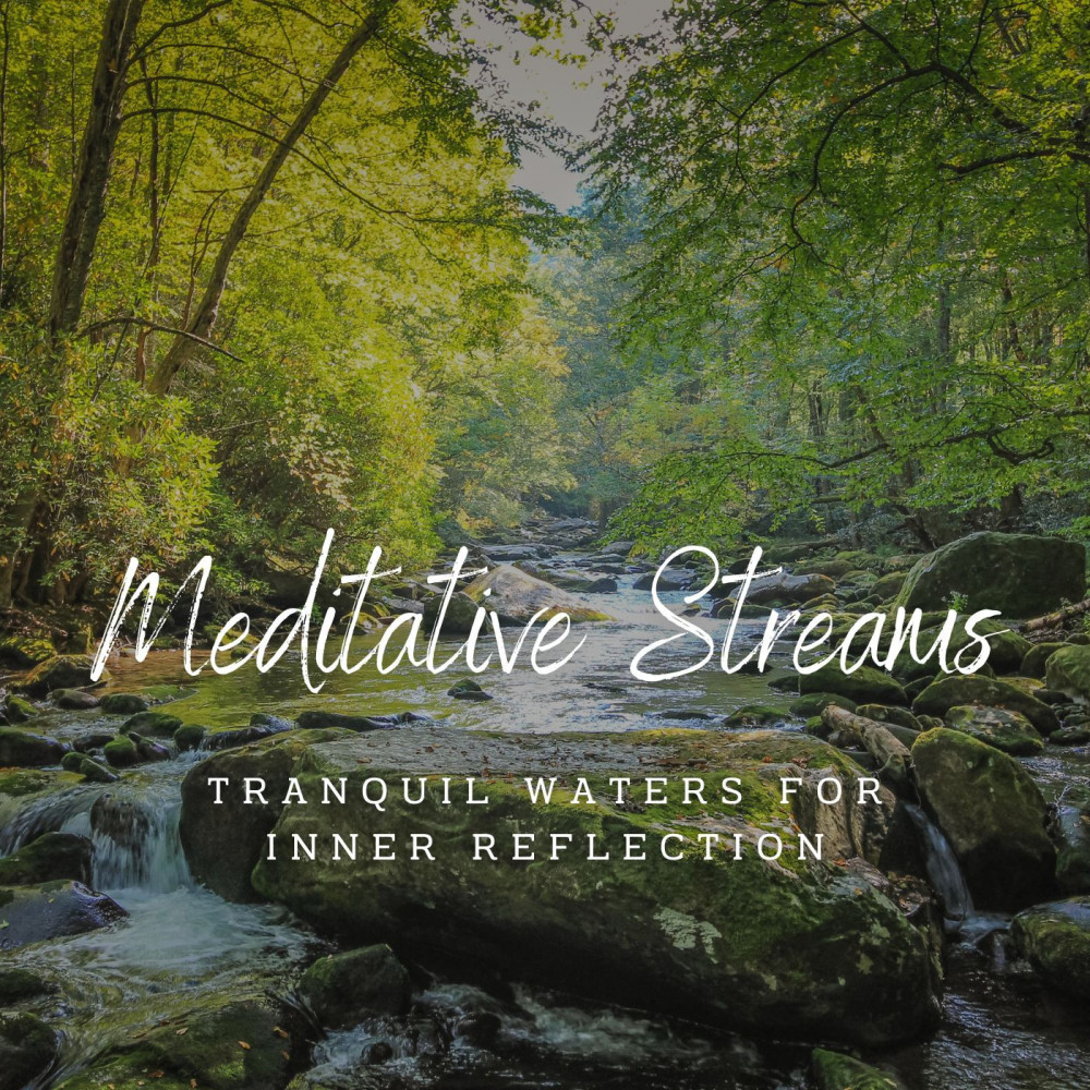 Tranquil Stream's Zen Harmony
