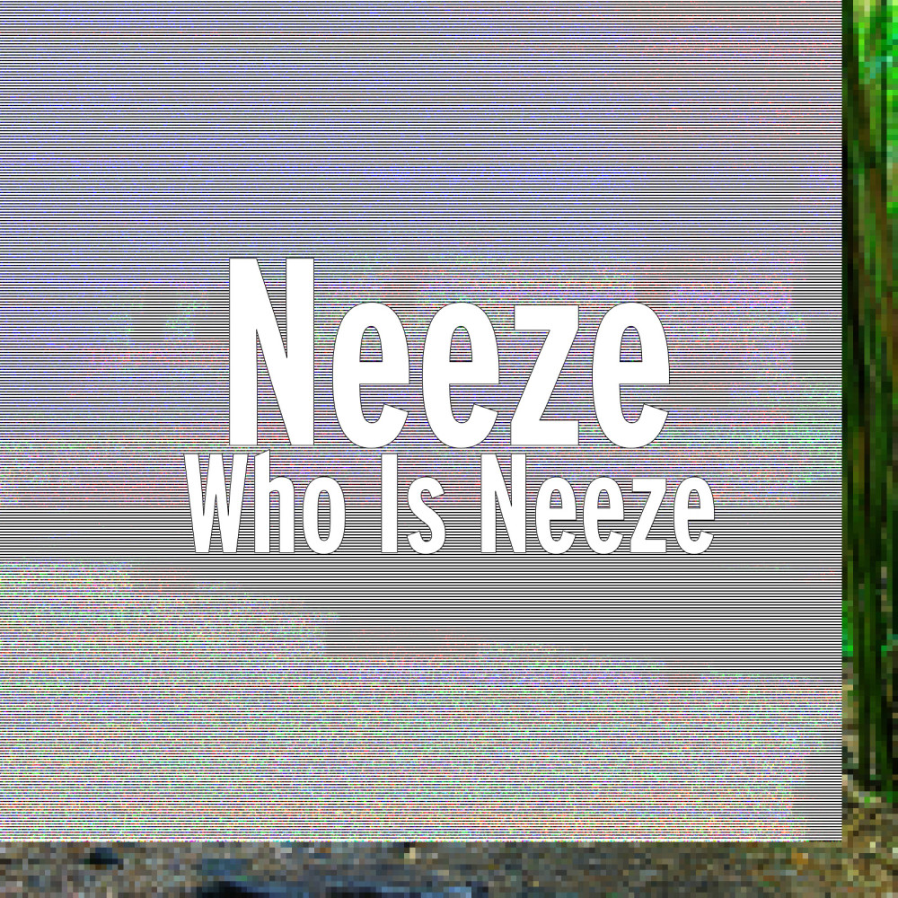 Neeze's Everywhere (Explicit)