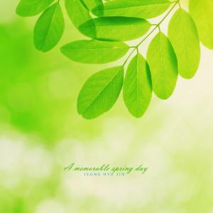 Album A memorable spring day from 
