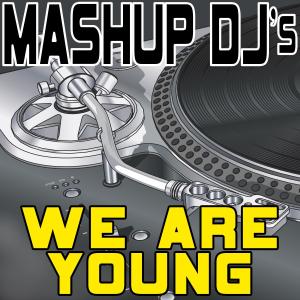 收聽Mashup DJ's的We Are Young (Original Radio Mix) [Re-Mix Tool] (其他|Original Radio Mix|Re-Mix Tool)歌詞歌曲