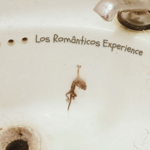 收聽Los Românticos Experience的Todo Dia É Dia D歌詞歌曲