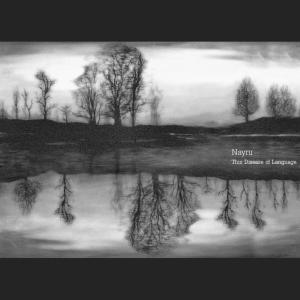 收聽Nayru的Identifying Rupture歌詞歌曲