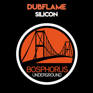 Album Silicon oleh Dubflame