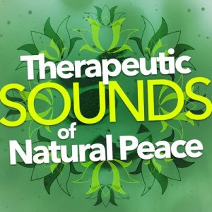 ดาวน์โหลดและฟังเพลง A Quiet Walk พร้อมเนื้อเพลงจาก Nature Sounds Therapy
