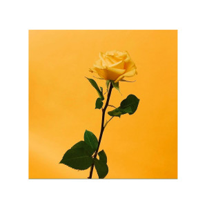 ดาวน์โหลดและฟังเพลง Someday I Will Find The Perfect One (其他) พร้อมเนื้อเพลงจาก Monty Datta