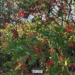 Album Hold On (Explicit) from 21Pillz