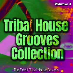 Album Tribal House Grooves Collection, Vol. 3 - the Finest Tribal House Grooves from Group Star