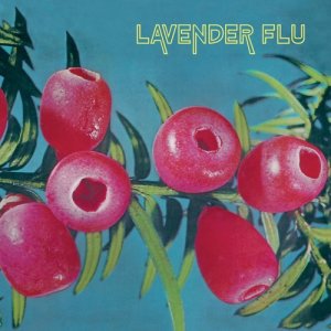 收聽The Lavender Flu的Reverse Lives歌詞歌曲