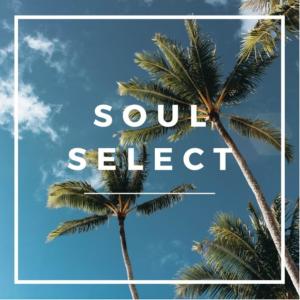 Listen to Soul Select song with lyrics from Snoops