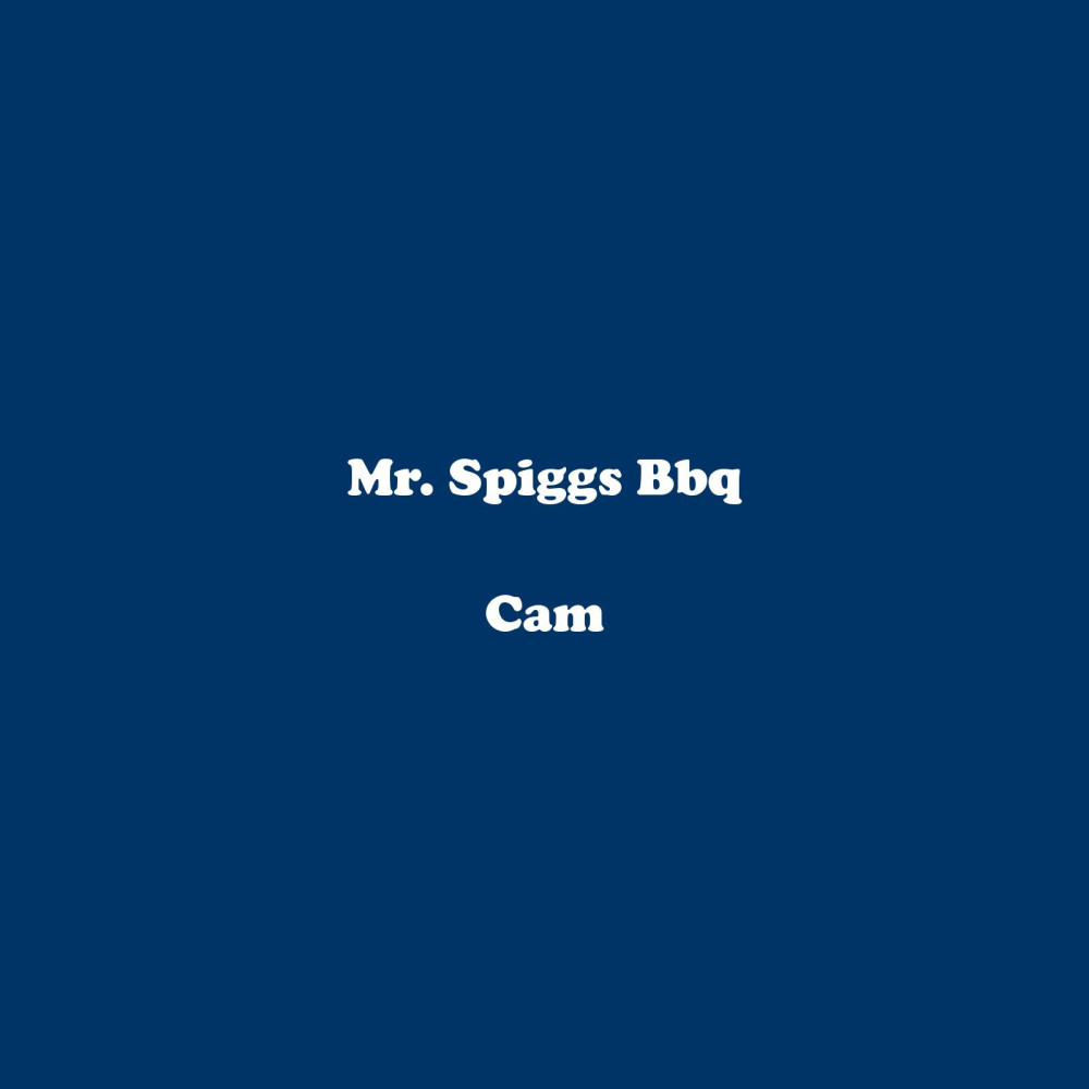 Mr. Spiggs Bbq