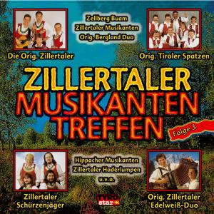 Album Zillertaler Musikantentreffen - Folge 3 from Various Artists