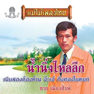 Listen to น้ำนิ่งไหลลึก song with lyrics from ชาย เมืองสิงห์