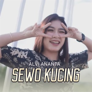 收聽Alvi Ananta的Sewo Kucing歌詞歌曲