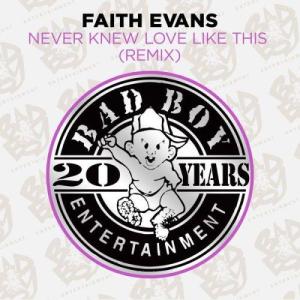 ดาวน์โหลดและฟังเพลง Never Knew Love Like This (Remix Instrumental) พร้อมเนื้อเพลงจาก Faith Evans
