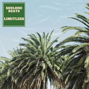Listen to Limitless song with lyrics from Soulone Beats