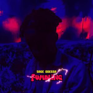 Sage Odessa的專輯Fumbling (feat. So Orchestrate)