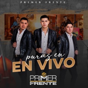 Listen to Perdona Mis Errores (En Vivo) song with lyrics from Primer Frente