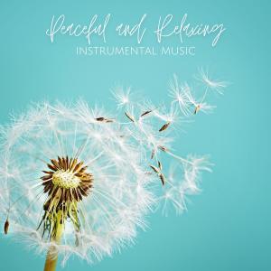 Album Peaceful and Relaxing Instrumental Music from Chris Snelling