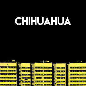 Listen to Chihuahua song with lyrics from CDM Project