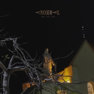 default album img