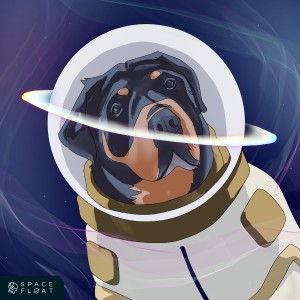 Album In Orbit from maeLstro