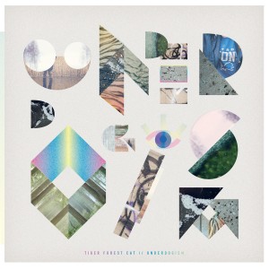 ดาวน์โหลดและฟังเพลง True Love, Pt.1 พร้อมเนื้อเพลงจาก Tiger Forest Cat