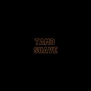 ดาวน์โหลดและฟังเพลง Tamo Suave (Explicit) พร้อมเนื้อเพลงจาก Mc ThZl