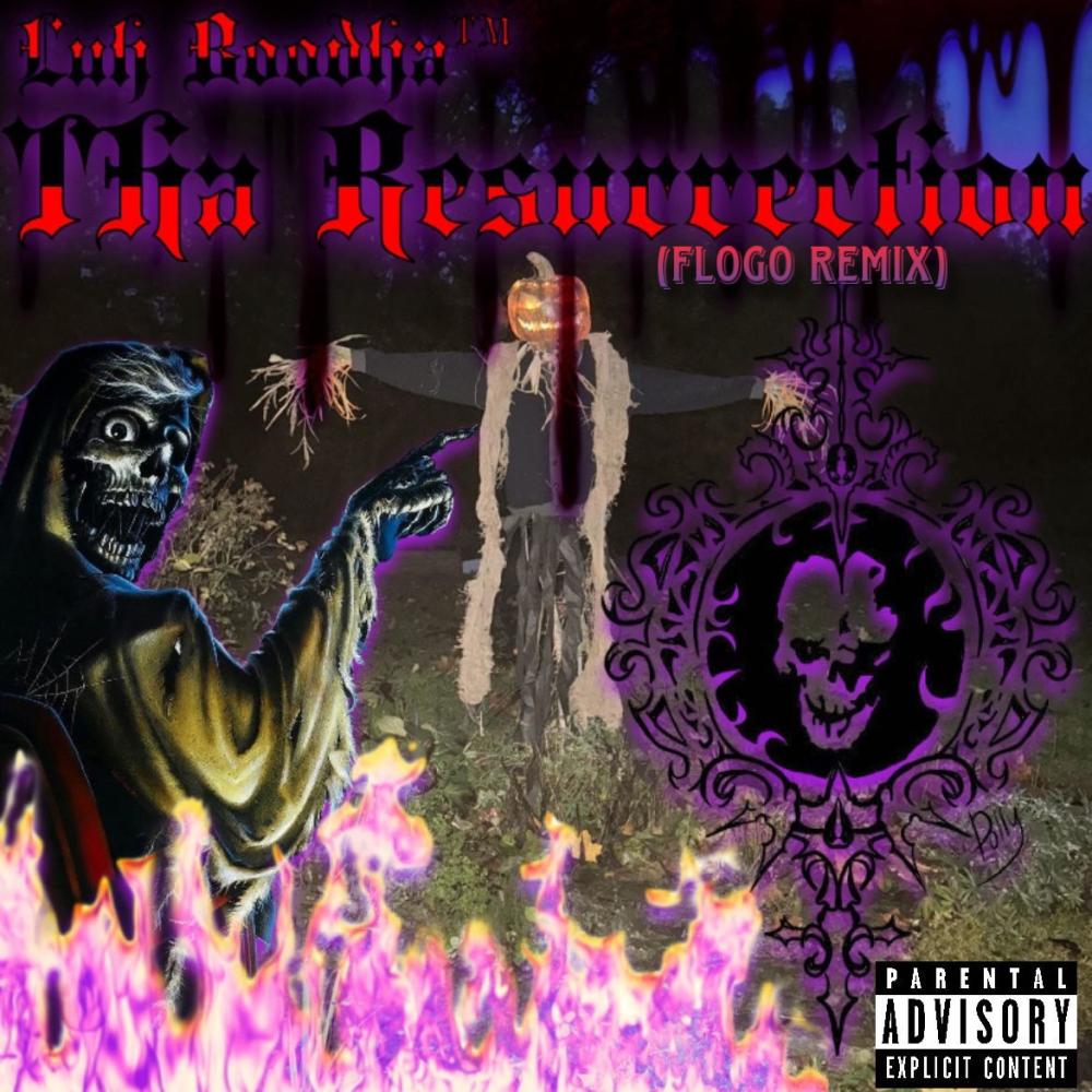 Law Abiding Citizen (feat. Luh Boodha) (FLOGO Remix|Explicit)