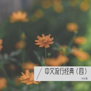 Dengarkan lagu 我们好像在哪见过 (cover: 小柯|叶蓓) (完整版) nyanyian 许宏雷 dengan lirik