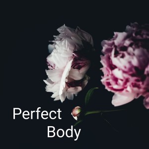 Album Perfect Body oleh Kene Mete