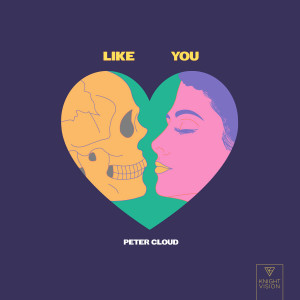 ดาวน์โหลดและฟังเพลง Like You พร้อมเนื้อเพลงจาก Peter Cloud