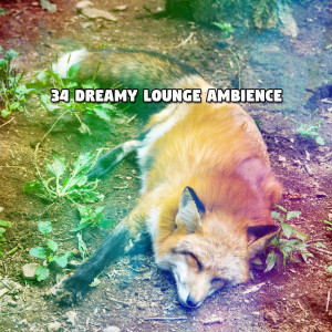 Baby Music的專輯34 Dreamy Lounge Ambience