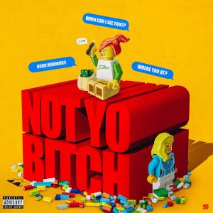 NOT YO BITCH (feat. Jayroh Amari & Derek King) (Explicit) dari drizzy vik