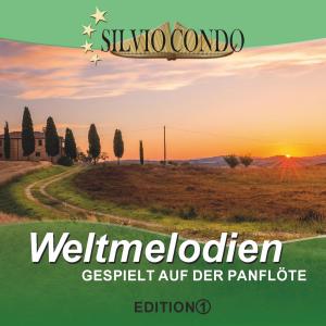 ดาวน์โหลดและฟังเพลง Der einsame Hirte พร้อมเนื้อเพลงจาก Silvio Condo