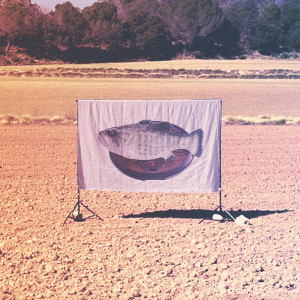 收聽Nyandú的Barca Cielo y Ola歌詞歌曲