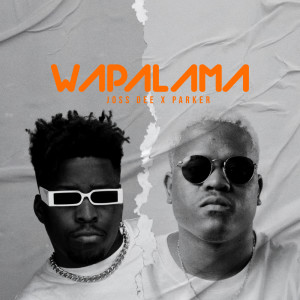 Album Wapalama from Joss Dee