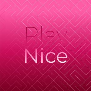 Album Play Nice from Various
