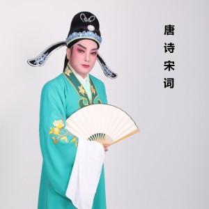 Listen to 晓出净慈寺送林子方 song with lyrics from 蔡仲鸿
