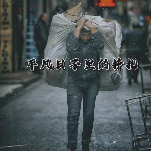 Listen to 平凡日子里的挣扎 (伴奏) song with lyrics from 梨zi