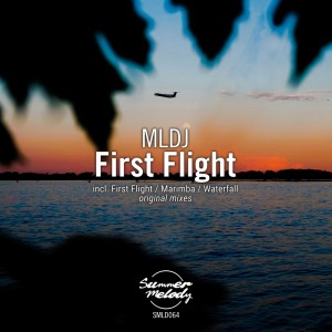 Listen to Waterfall song with lyrics from MLDJ