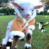 default album img