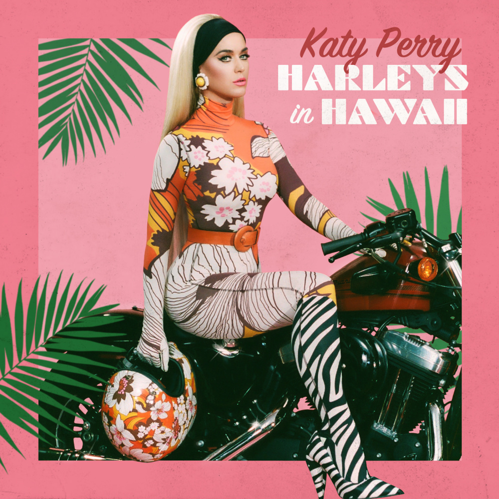 Harleys In Hawaii (remix|Win and Woo Remix)